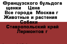 Французского бульдога щенки  › Цена ­ 35 000 - Все города, Москва г. Животные и растения » Собаки   . Ставропольский край,Лермонтов г.
